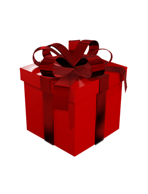 Mystery Gift